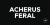 Acherus Feral Font