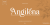 Angilena Font