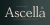 Ascella Font