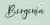 Bergenia Font