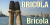 Bricola Font