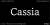 Cassia Font