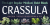 Crassula Font