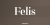 Felis Font