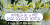 Flower Children JNL Font