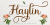 Haylin Script Font