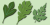 Leaf Assortment Font