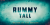 Rummy Tall Font