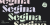 Segina Font