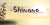 Shinano Font